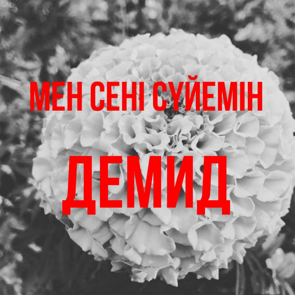 Күн сайын ашық хат с именем, Демид Мен сені сүйемін подпись Онлайн тегін жүктеп алу тілектері бар керемет карта 