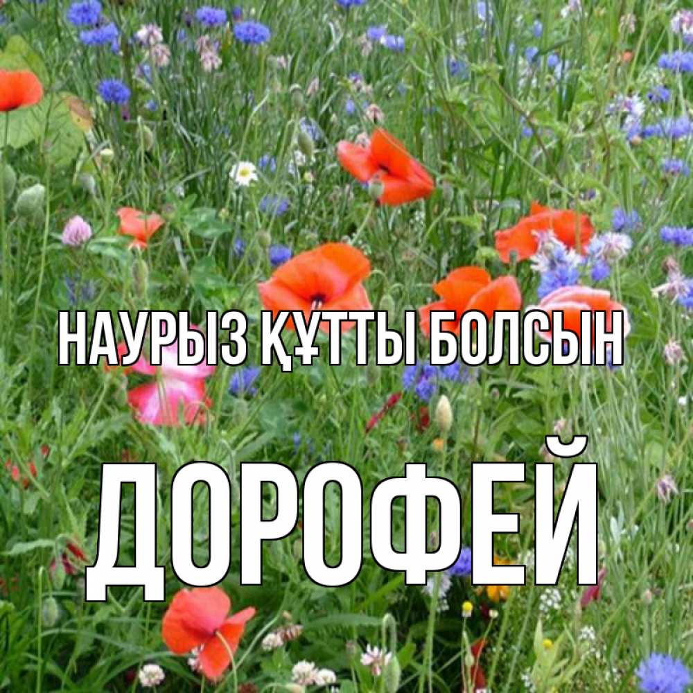 Күн сайын ашық хат с именем, Дорофей Наурыз құтты болсын наурыз  4 Онлайн тегін жүктеп алу тілектері бар керемет карта 