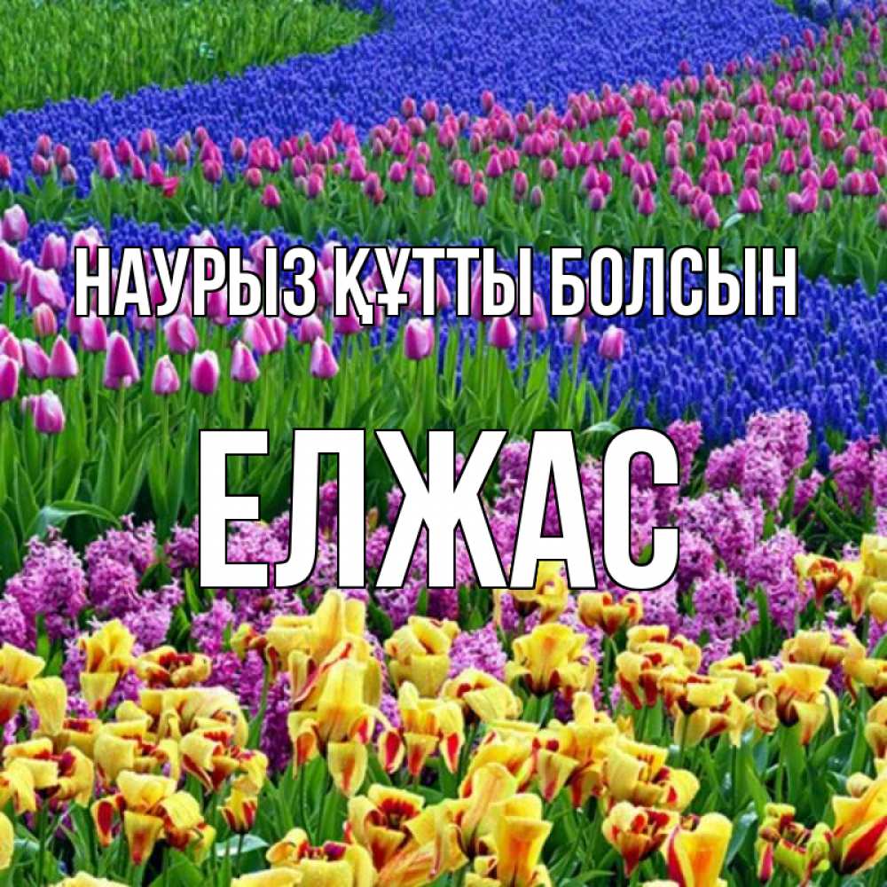Күн сайын ашық хат с именем, Елжас Наурыз құтты болсын цветы Онлайн тегін жүктеп алу тілектері бар керемет карта 