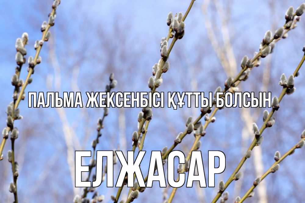 Күн сайын ашық хат с именем, Елжасар Пальма жексенбісі құтты болсын верба Онлайн тегін жүктеп алу тілектері бар керемет карта 