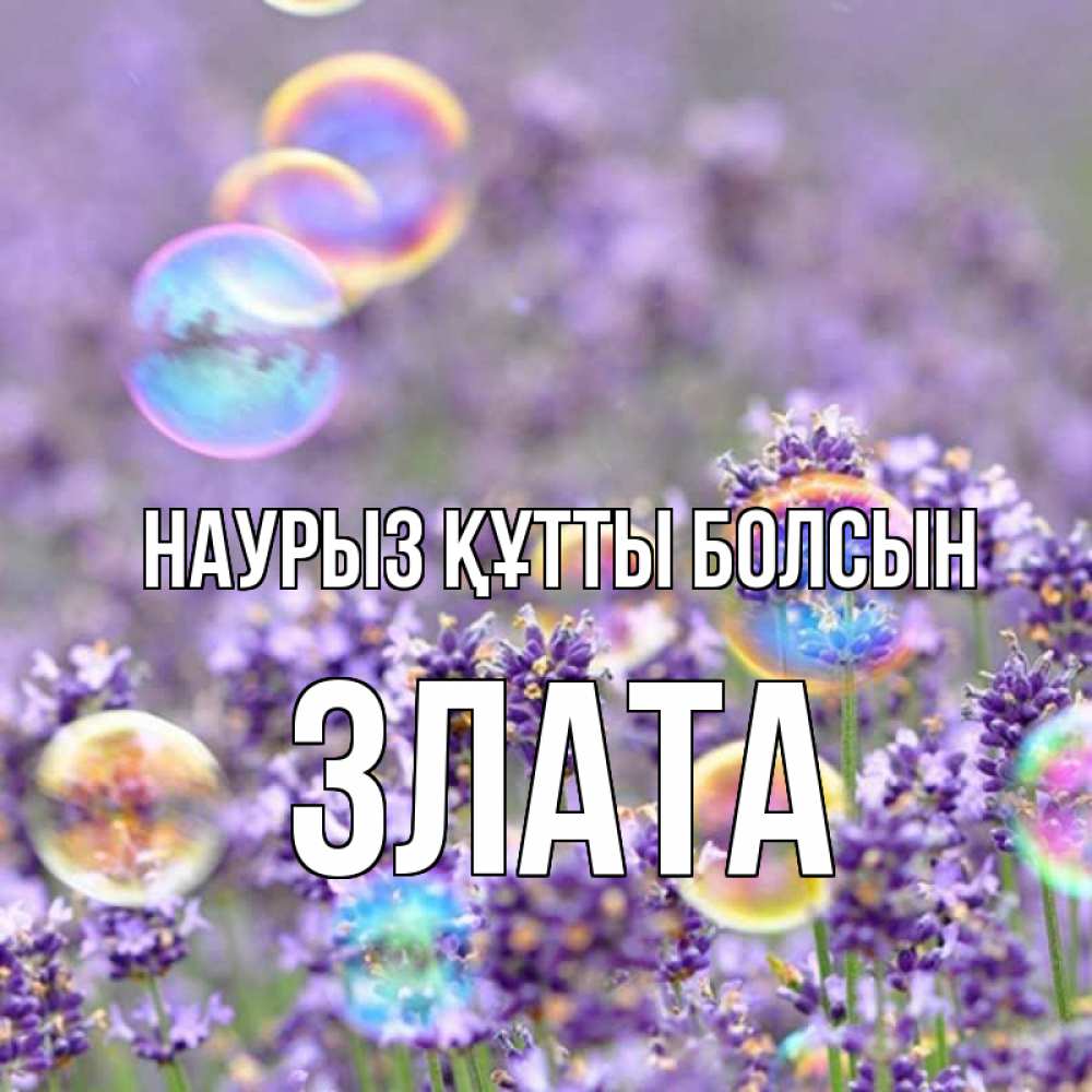 Күн сайын ашық хат с именем, Злата Наурыз құтты болсын цветы Онлайн тегін жүктеп алу тілектері бар керемет карта 