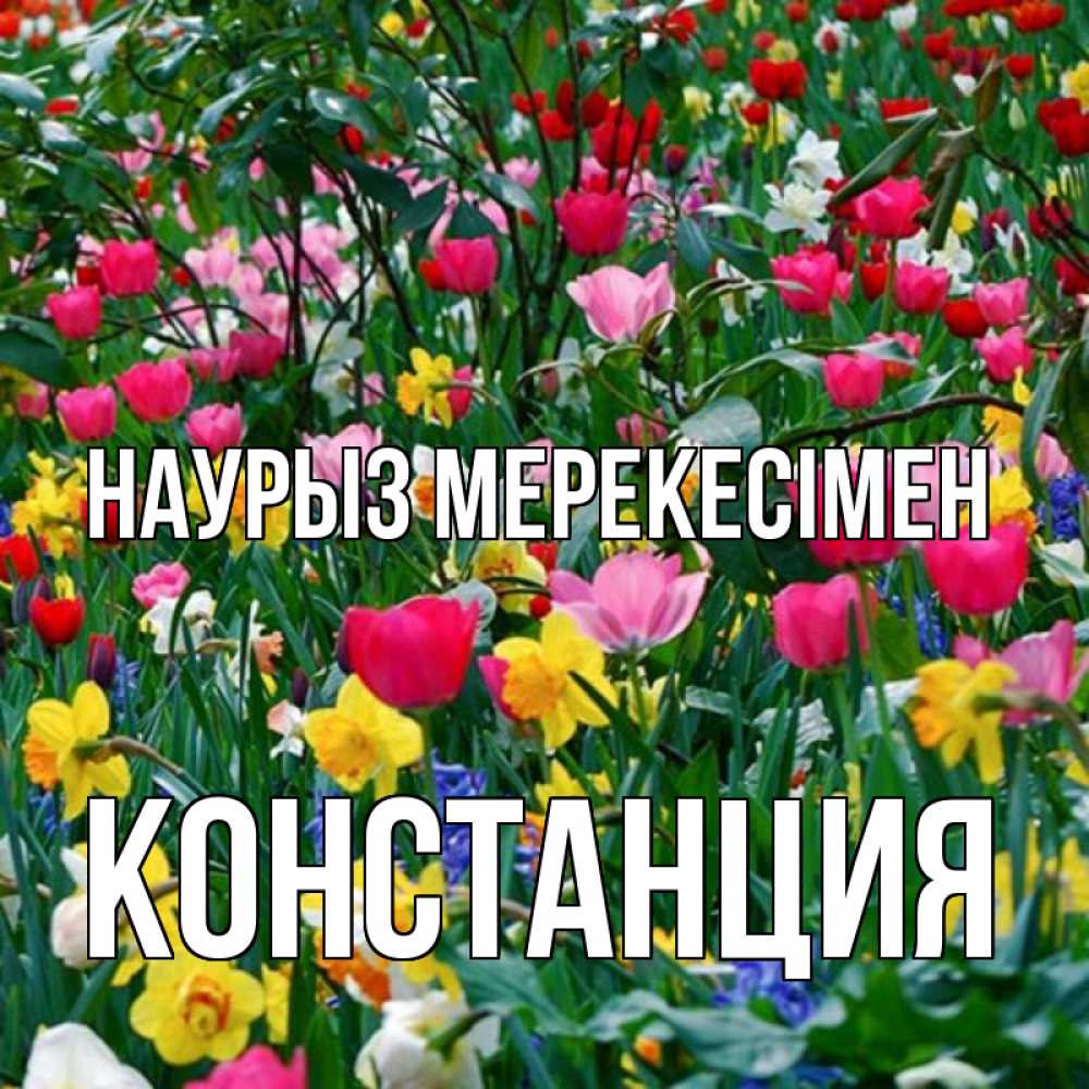 Күн сайын ашық хат с именем, Констанция Наурыз мерекесімен с наурызом праздником весны поздравления для женщины Онлайн тегін жүктеп алу тілектері бар керемет карта 