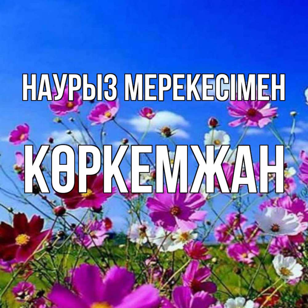 Күн сайын ашық хат с именем, Көркемжан Наурыз мерекесімен цветы Онлайн тегін жүктеп алу тілектері бар керемет карта 