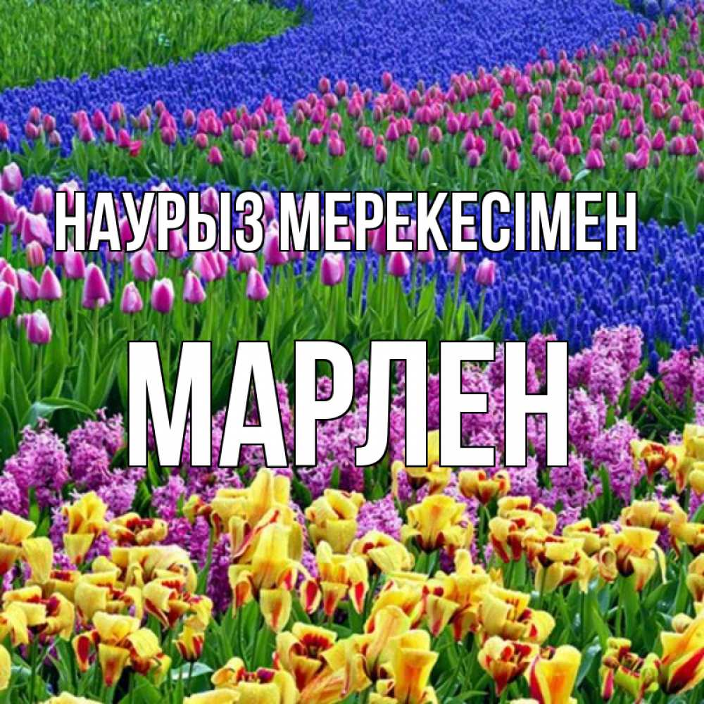 Күн сайын ашық хат с именем, МАРЛЕН Наурыз мерекесімен цветы Онлайн тегін жүктеп алу тілектері бар керемет карта 
