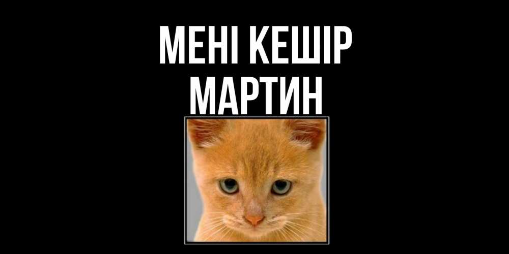 Күн сайын ашық хат с именем, Мартин Мені кешір рыжий грустный кот просит прощения Онлайн тегін жүктеп алу тілектері бар керемет карта 