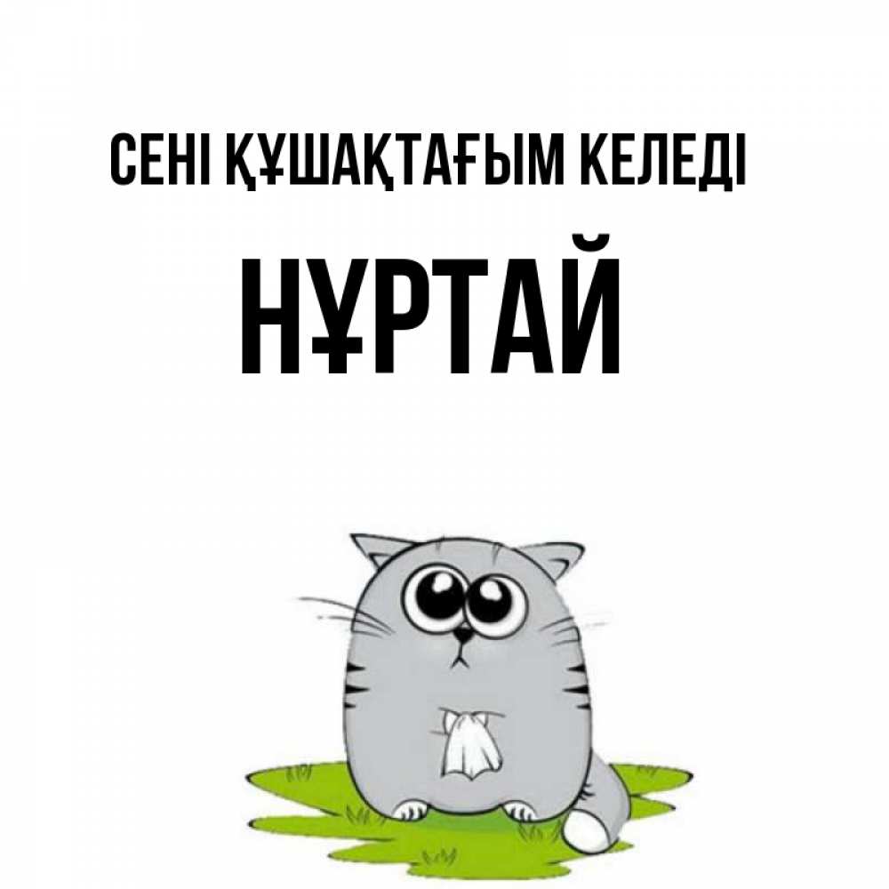 Күн сайын ашық хат с именем, Нұртай сені құшақтағым келеді котик теребит платочек сидя на травке Онлайн тегін жүктеп алу тілектері бар керемет карта 