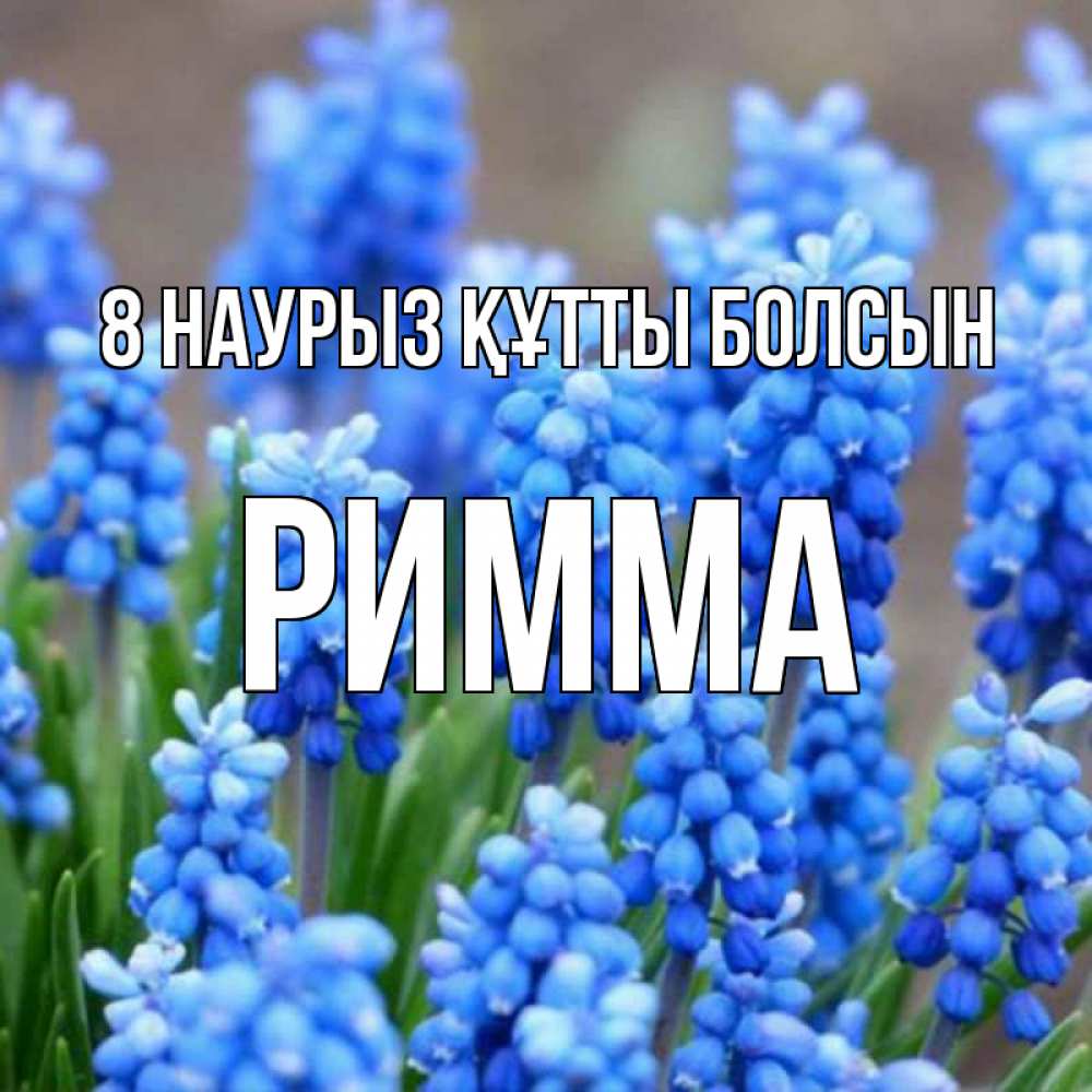 Күн сайын ашық хат с именем, Римма 8 наурыз құтты болсын Поздравительная открытка для женщин с цветами на праздничную дату Онлайн тегін жүктеп алу тілектері бар керемет карта 