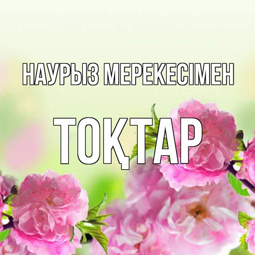Күн сайын ашық хат с именем, ТОҚТАР Наурыз мерекесімен цветы Онлайн тегін жүктеп алу тілектері бар керемет карта 