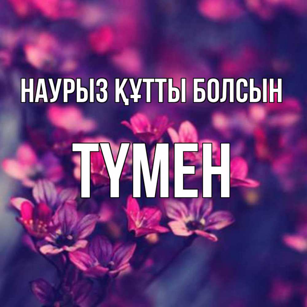 Күн сайын ашық хат с именем, ТҮМЕН Наурыз құтты болсын небольшие цветы 1 Онлайн тегін жүктеп алу тілектері бар керемет карта 