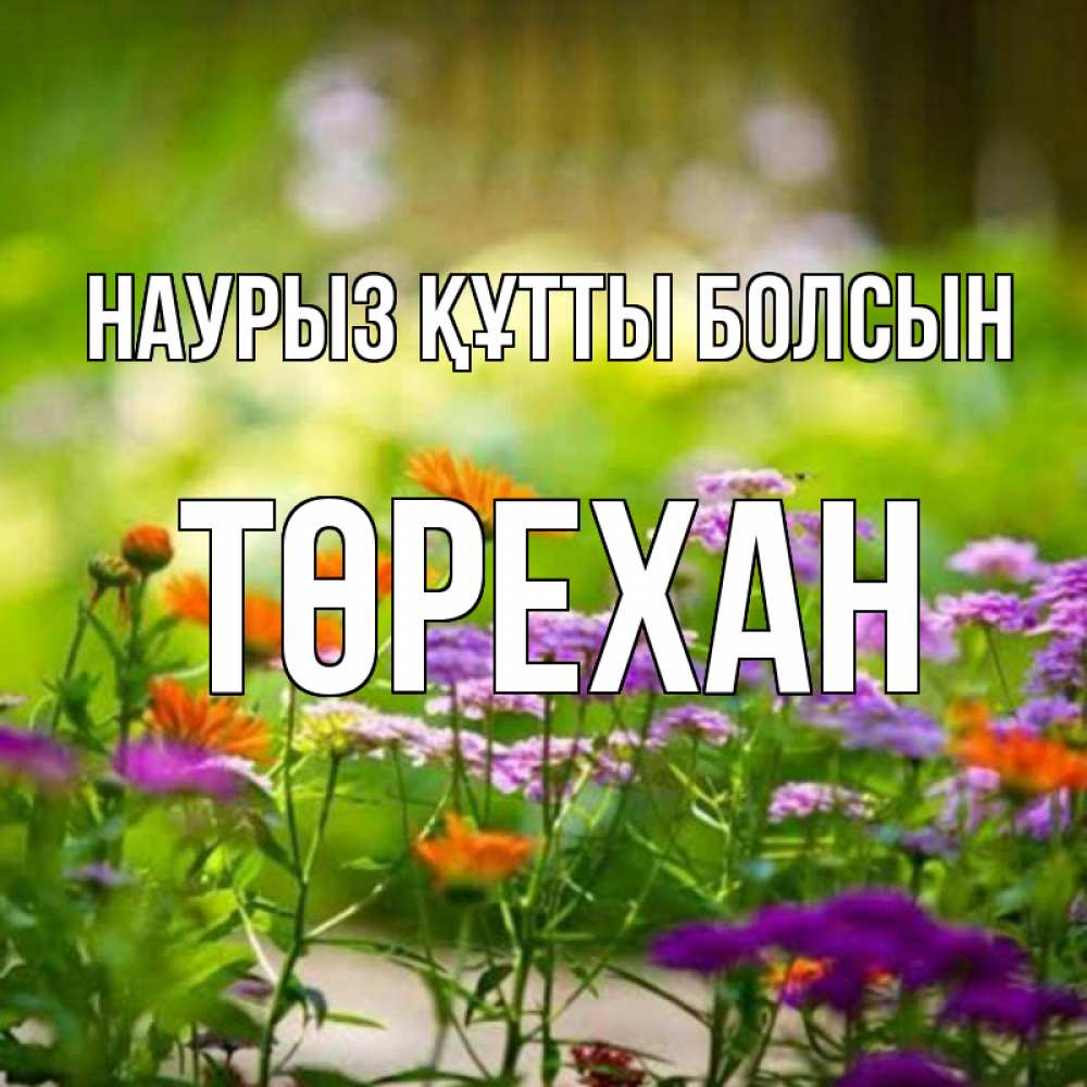 Күн сайын ашық хат с именем, Төрехан Наурыз құтты болсын цветы Онлайн тегін жүктеп алу тілектері бар керемет карта 