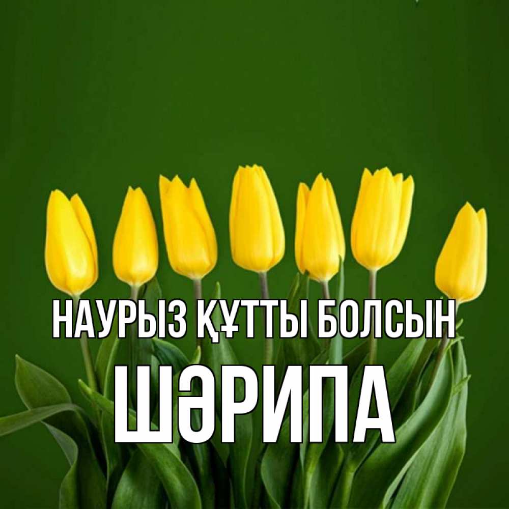 Күн сайын ашық хат с именем, ШӘРИПА Наурыз құтты болсын желтого цвета 3 Онлайн тегін жүктеп алу тілектері бар керемет карта 