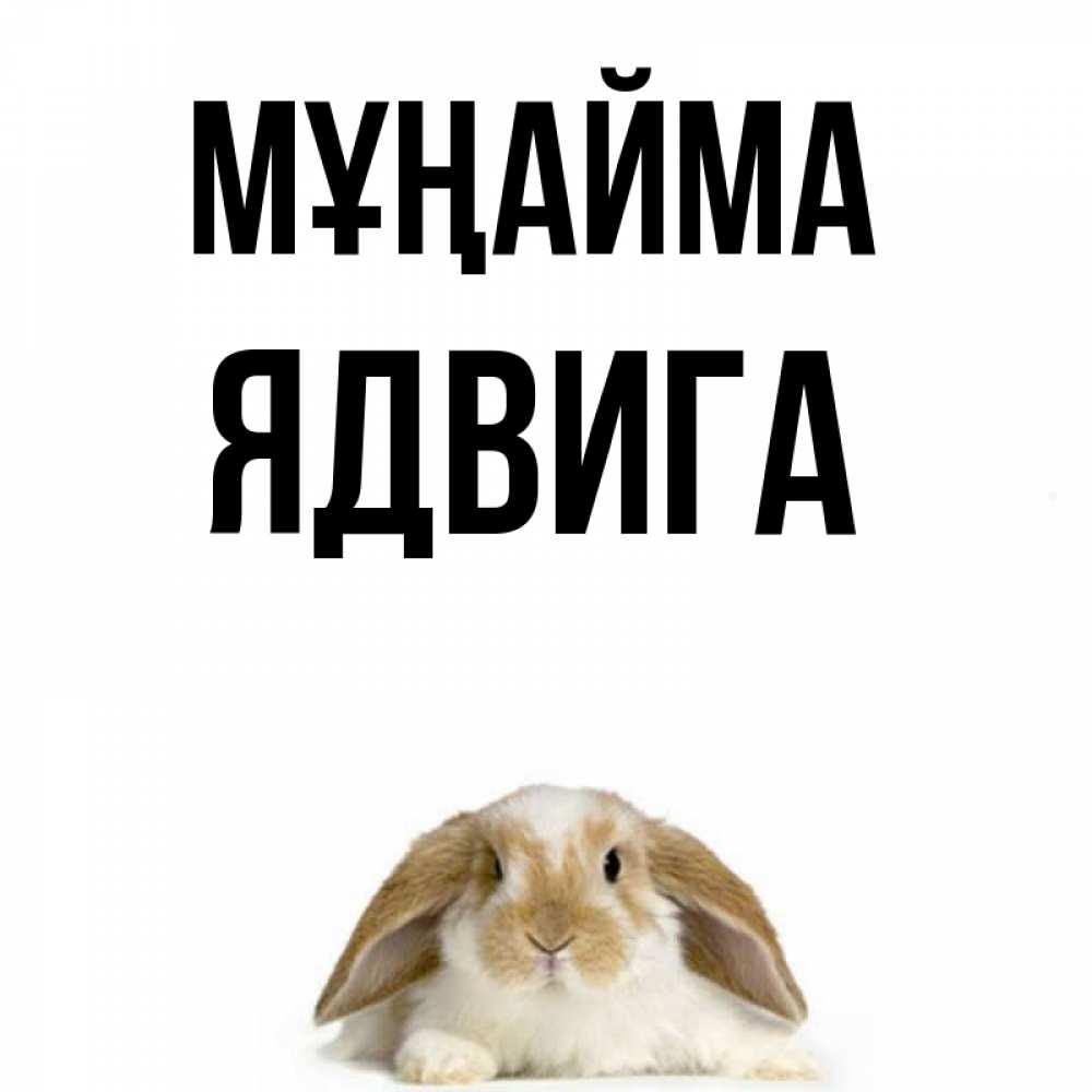 Күн сайын ашық хат с именем, Ядвига Мұңайма коричнево белый заяц с большими ушками Онлайн тегін жүктеп алу тілектері бар керемет карта 