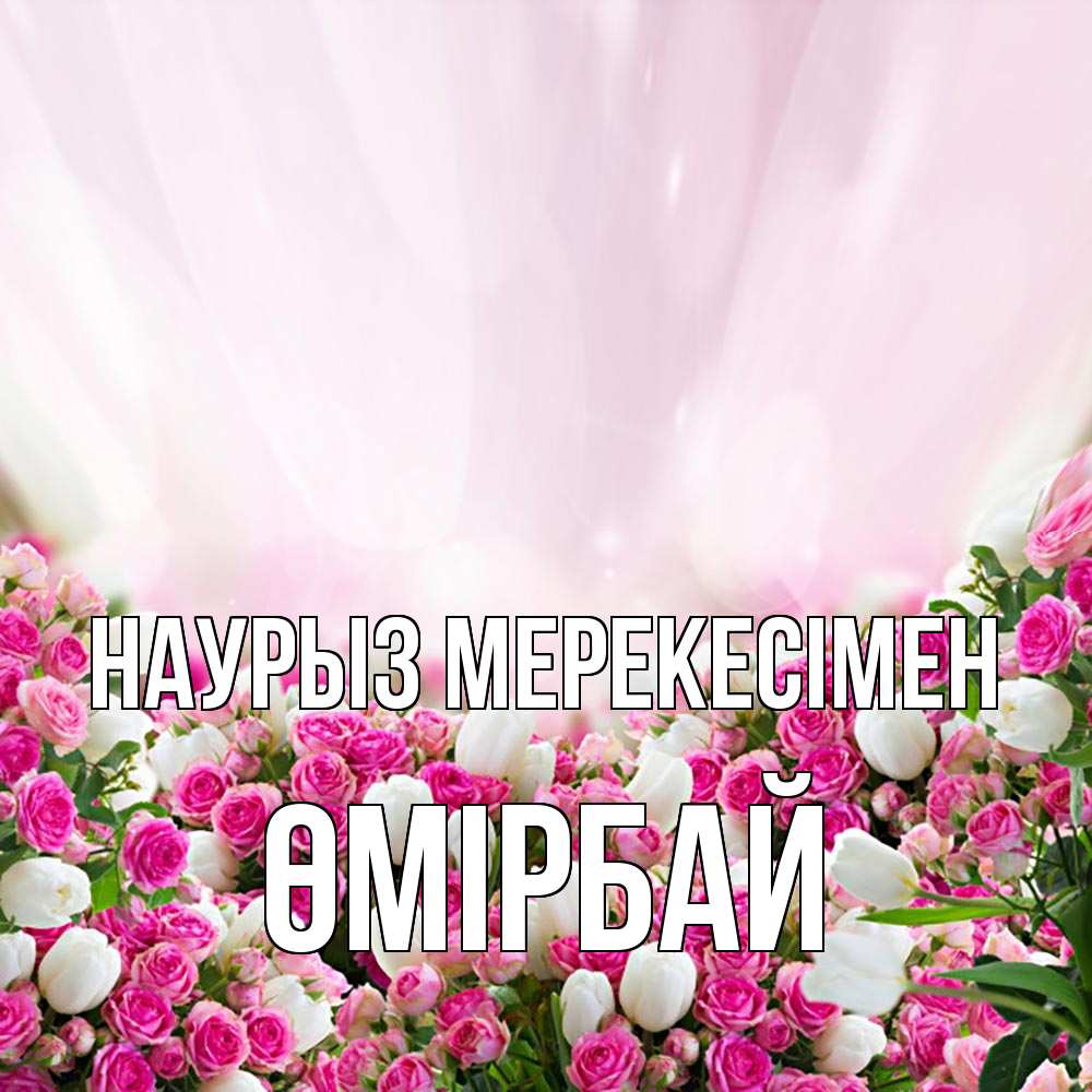 Күн сайын ашық хат с именем, ӨМІРБАЙ Наурыз мерекесімен под снегом Онлайн тегін жүктеп алу тілектері бар керемет карта 