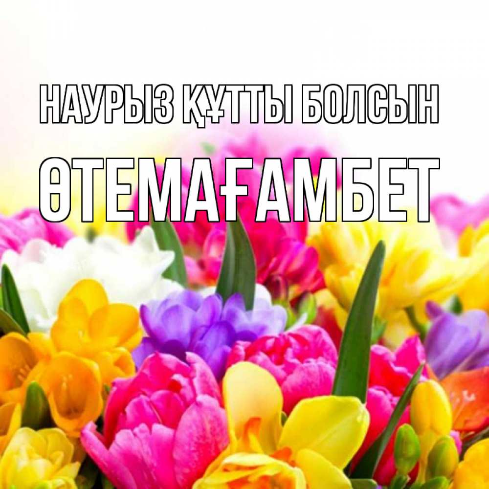 Күн сайын ашық хат с именем, ӨТЕМАҒАМБЕТ Наурыз құтты болсын тюльпаны Онлайн тегін жүктеп алу тілектері бар керемет карта 