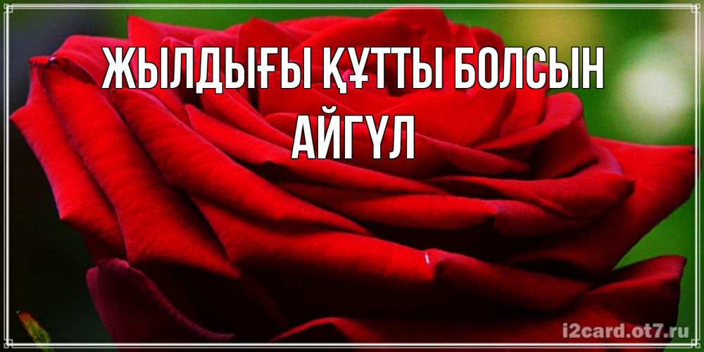 Күн сайын ашық хат с именем, АЙГҮЛ Жылдығы құтты болсын розочка очень красивая Онлайн тегін жүктеп алу тілектері бар керемет карта 