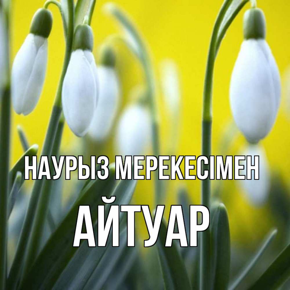 Күн сайын ашық хат с именем, Айтуар Наурыз мерекесімен весенние цветы Онлайн тегін жүктеп алу тілектері бар керемет карта 