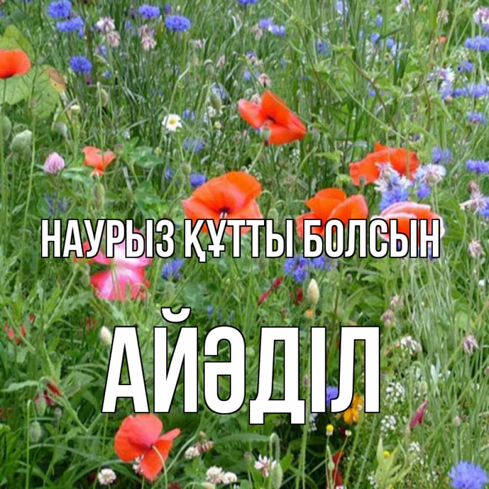 Күн сайын ашық хат с именем, Айәділ Наурыз құтты болсын наурыз  4 Онлайн тегін жүктеп алу тілектері бар керемет карта 