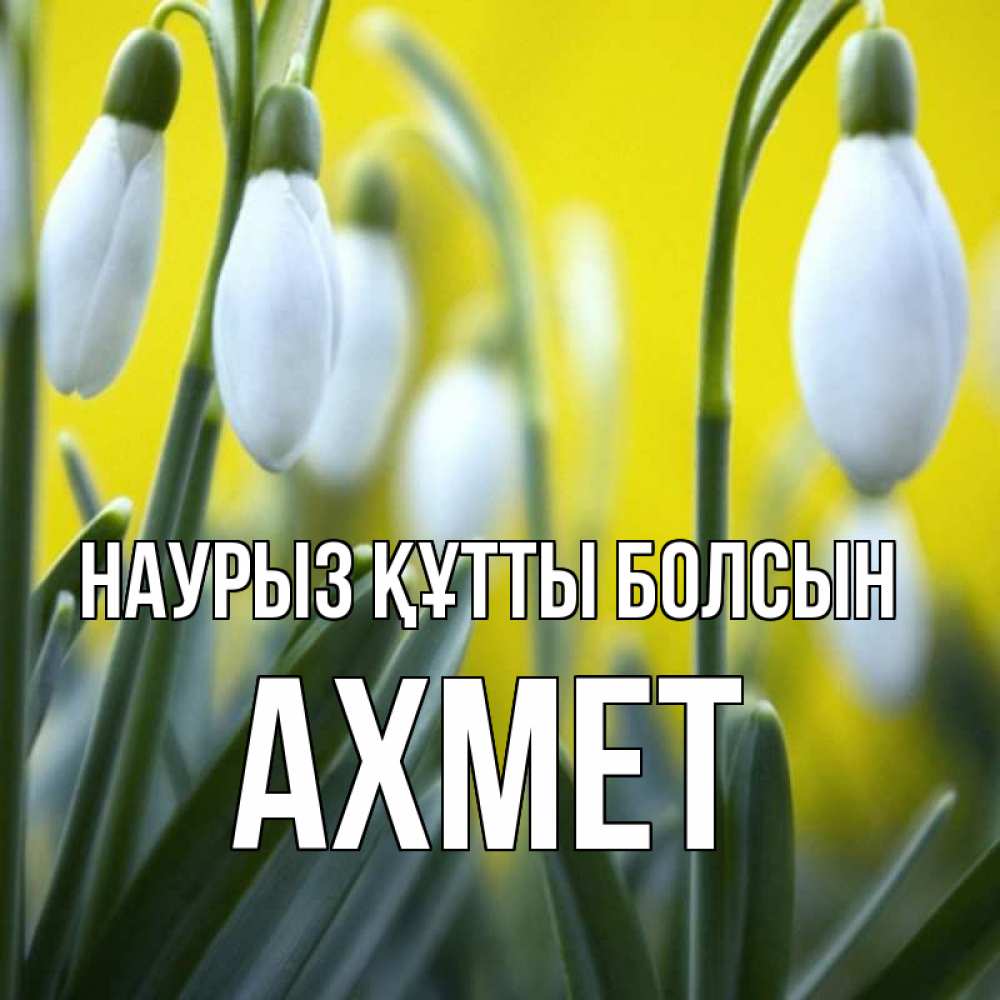 Күн сайын ашық хат с именем, Ахмет Наурыз құтты болсын весенние цветы Онлайн тегін жүктеп алу тілектері бар керемет карта 