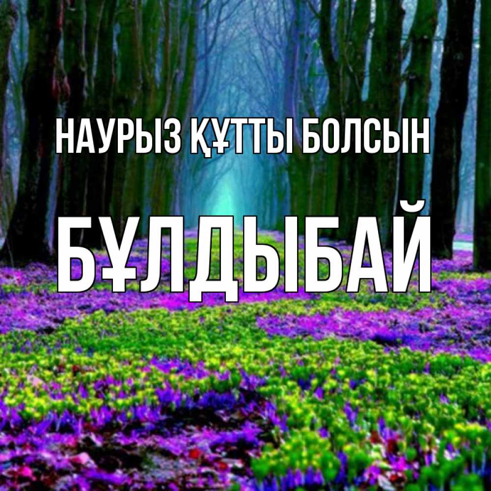 Күн сайын ашық хат с именем, Бұлдыбай Наурыз құтты болсын фиолетовые цветы в лесу 1 Онлайн тегін жүктеп алу тілектері бар керемет карта 