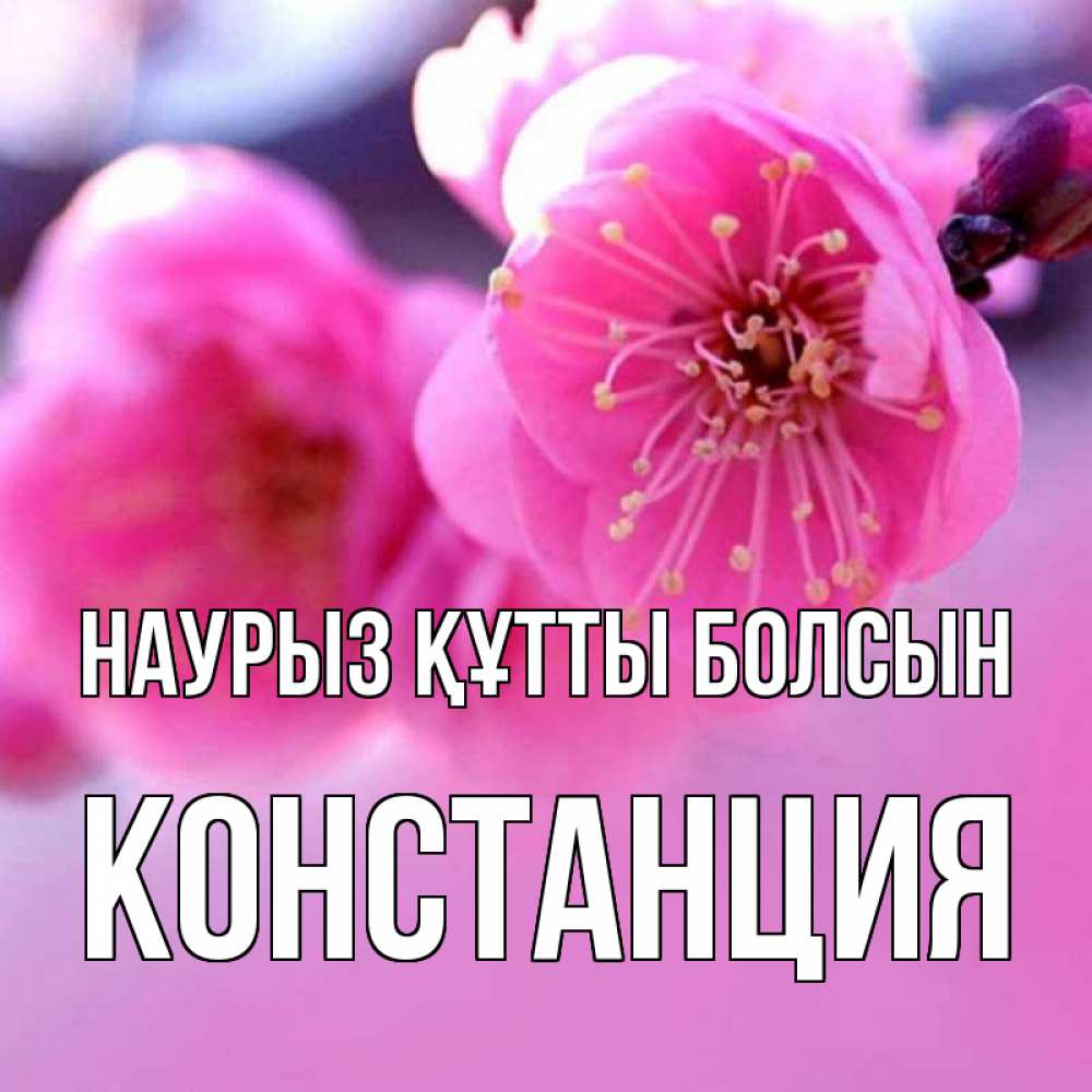 Күн сайын ашық хат с именем, Констанция Наурыз құтты болсын наурыз мейрам Онлайн тегін жүктеп алу тілектері бар керемет карта 