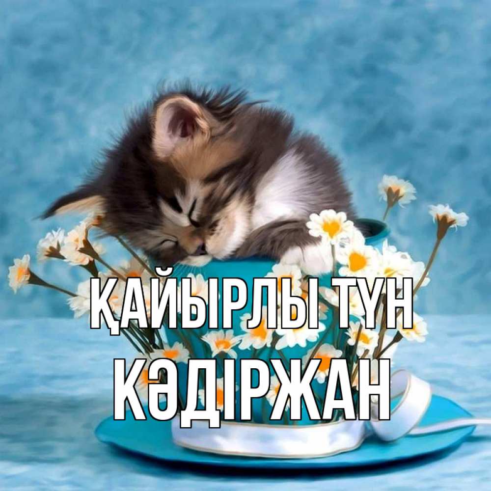 Күн сайын ашық хат с именем, Кәдіржан Қайырлы түн котенок спит в кружке с блюдцем Онлайн тегін жүктеп алу тілектері бар керемет карта 