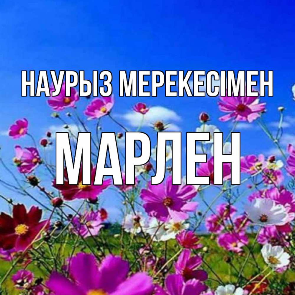 Күн сайын ашық хат с именем, МАРЛЕН Наурыз мерекесімен цветы Онлайн тегін жүктеп алу тілектері бар керемет карта 