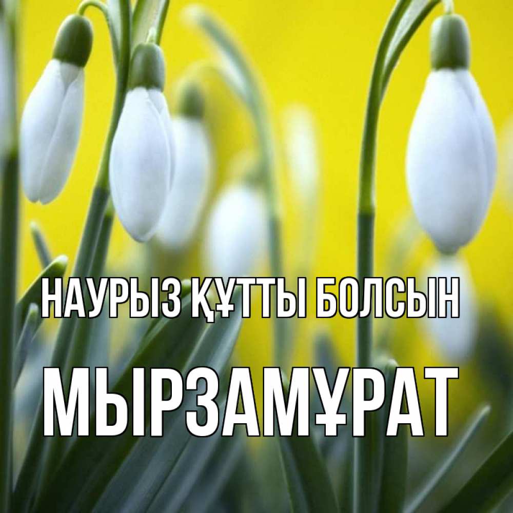 Күн сайын ашық хат с именем, Мырзамұрат Наурыз құтты болсын весенние цветы Онлайн тегін жүктеп алу тілектері бар керемет карта 