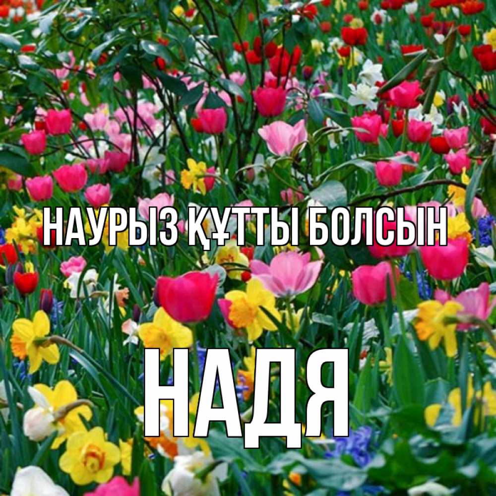 Күн сайын ашық хат с именем, Надя Наурыз құтты болсын с наурызом поздравления для женщины Онлайн тегін жүктеп алу тілектері бар керемет карта 