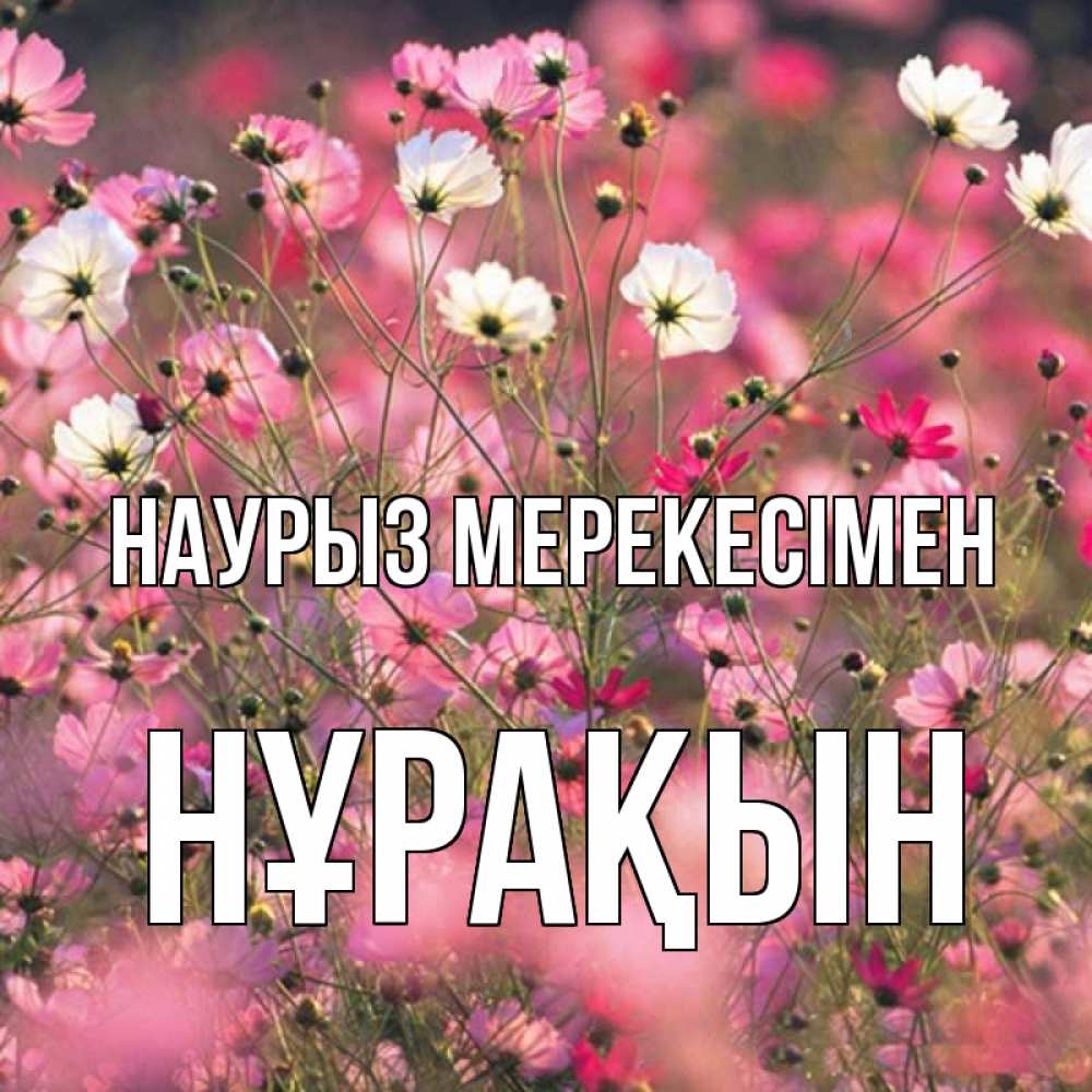 Күн сайын ашық хат с именем, НҰРАҚЫН Наурыз мерекесімен красиво 1 Онлайн тегін жүктеп алу тілектері бар керемет карта 
