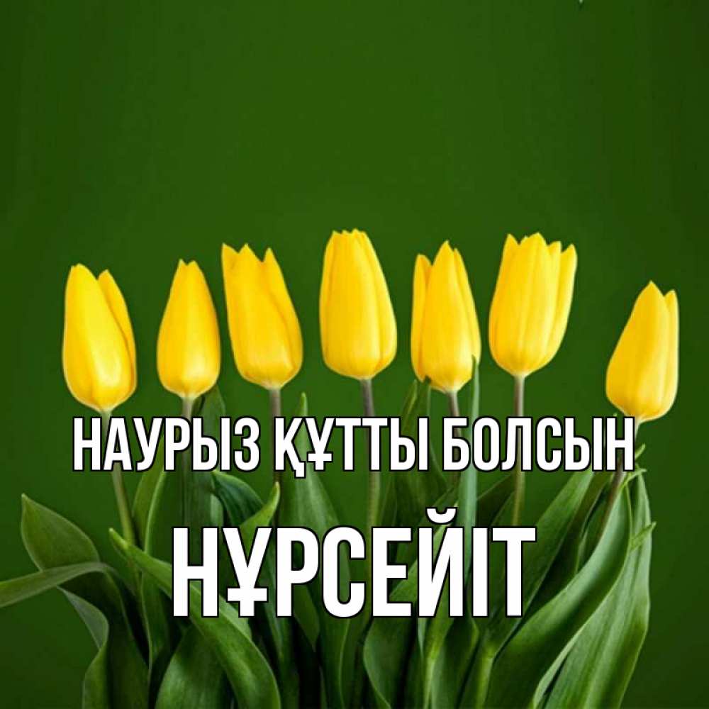 Күн сайын ашық хат с именем, НҰРСЕЙІТ Наурыз құтты болсын желтого цвета 3 Онлайн тегін жүктеп алу тілектері бар керемет карта 