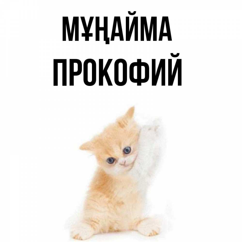 Күн сайын ашық хат с именем, Прокофий Мұңайма просящий кот Онлайн тегін жүктеп алу тілектері бар керемет карта 