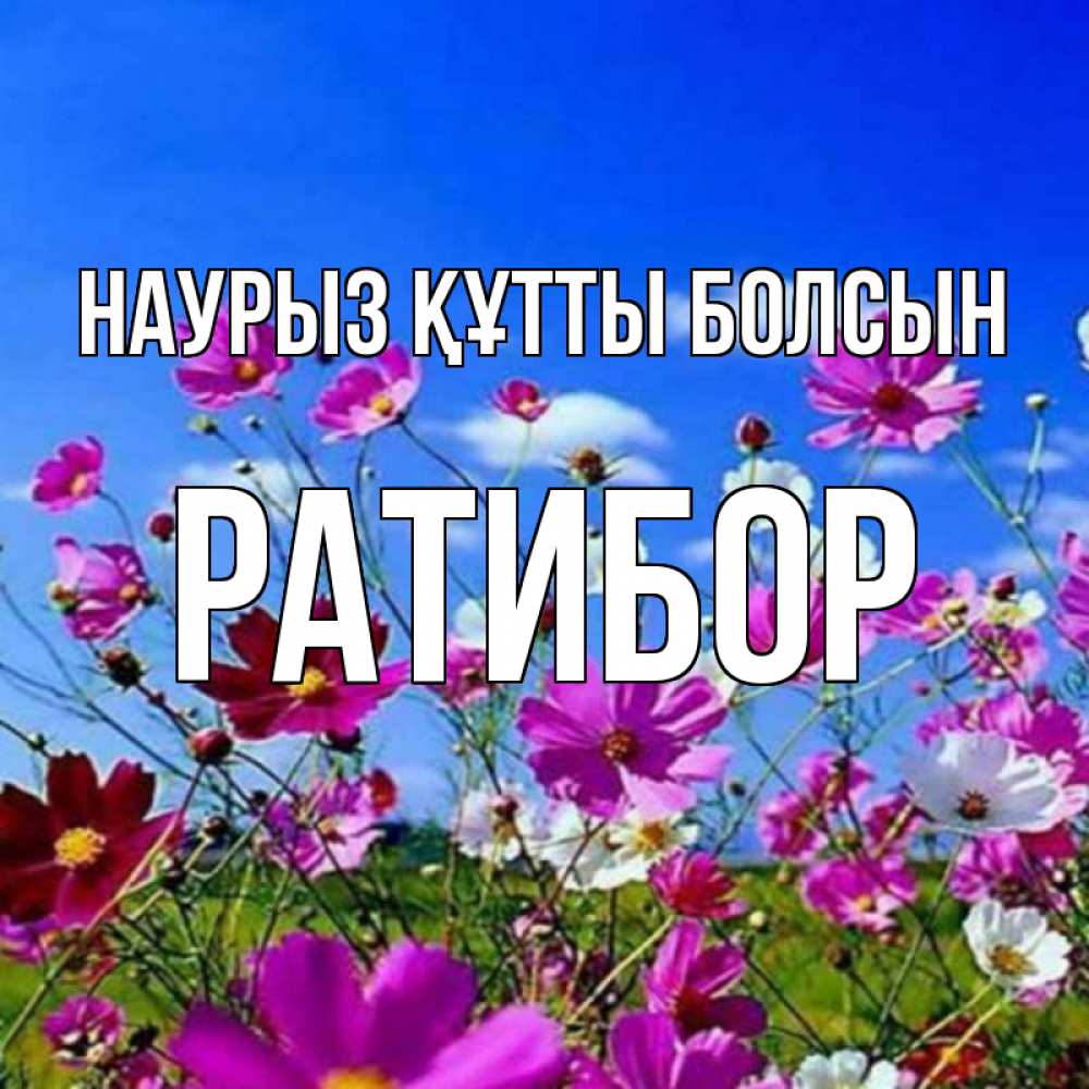 Күн сайын ашық хат с именем, Ратибор Наурыз құтты болсын цветы Онлайн тегін жүктеп алу тілектері бар керемет карта 