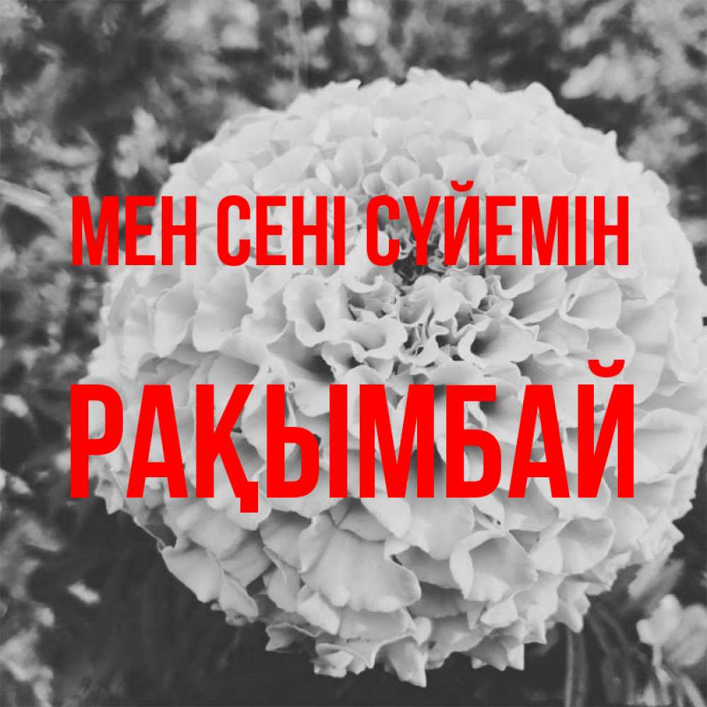 Күн сайын ашық хат с именем, Рақымбай Мен сені сүйемін подпись Онлайн тегін жүктеп алу тілектері бар керемет карта 