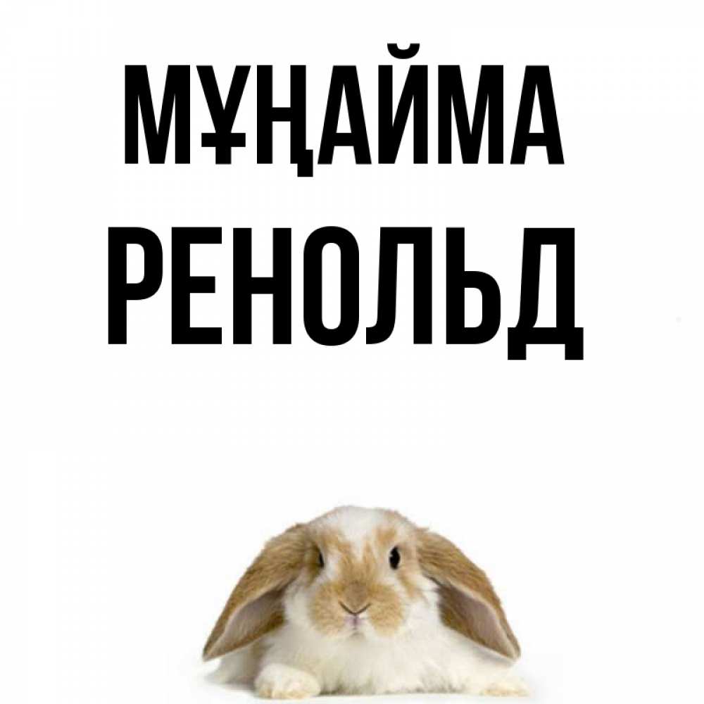 Күн сайын ашық хат с именем, Ренольд Мұңайма коричнево белый заяц с большими ушками Онлайн тегін жүктеп алу тілектері бар керемет карта 