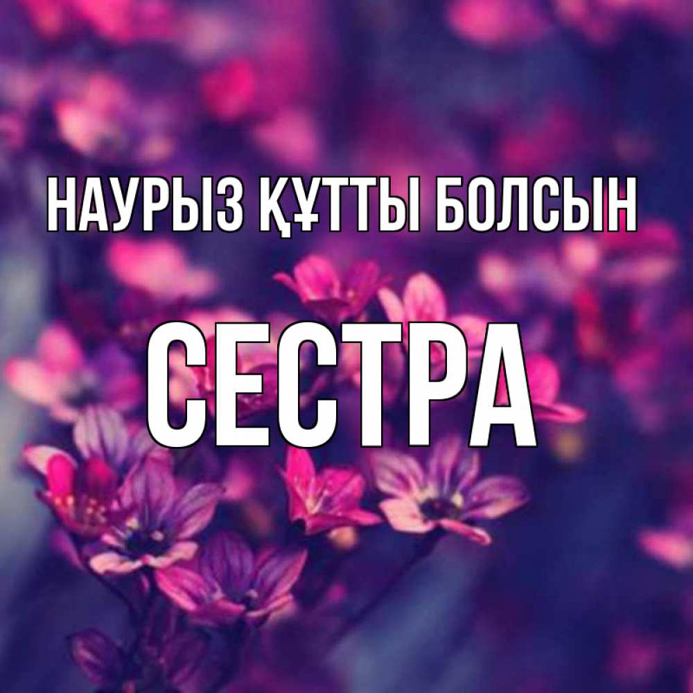 Күн сайын ашық хат с именем, Сестра Наурыз құтты болсын небольшие цветы 1 Онлайн тегін жүктеп алу тілектері бар керемет карта 