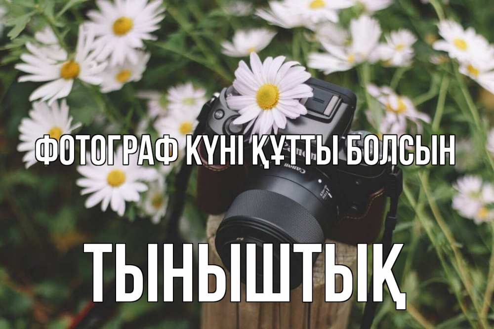 Күн сайын ашық хат с именем, ТЫНЫШТЫҚ Фотограф күні құтты болсын с днем фотографа Онлайн тегін жүктеп алу тілектері бар керемет карта 