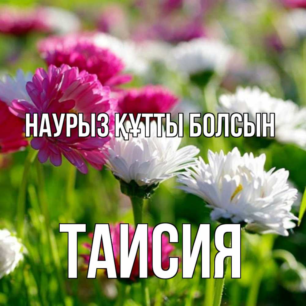Күн сайын ашық хат с именем, Таисия Наурыз құтты болсын наурыз Онлайн тегін жүктеп алу тілектері бар керемет карта 