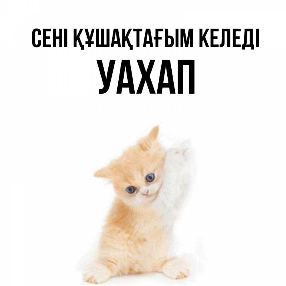 Күн сайын ашық хат с именем, УАХАП сені құшақтағым келеді я хочу очень скорее обнимаешек Онлайн тегін жүктеп алу тілектері бар керемет карта 
