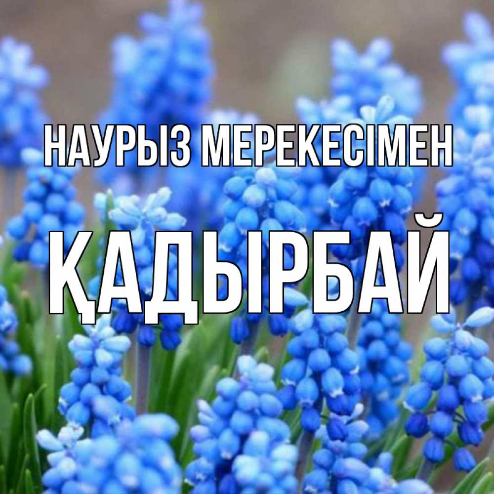 Күн сайын ашық хат с именем, Қадырбай Наурыз мерекесімен Поздравительная открытка для женщин с цветами на праздничную дату Онлайн тегін жүктеп алу тілектері бар керемет карта 