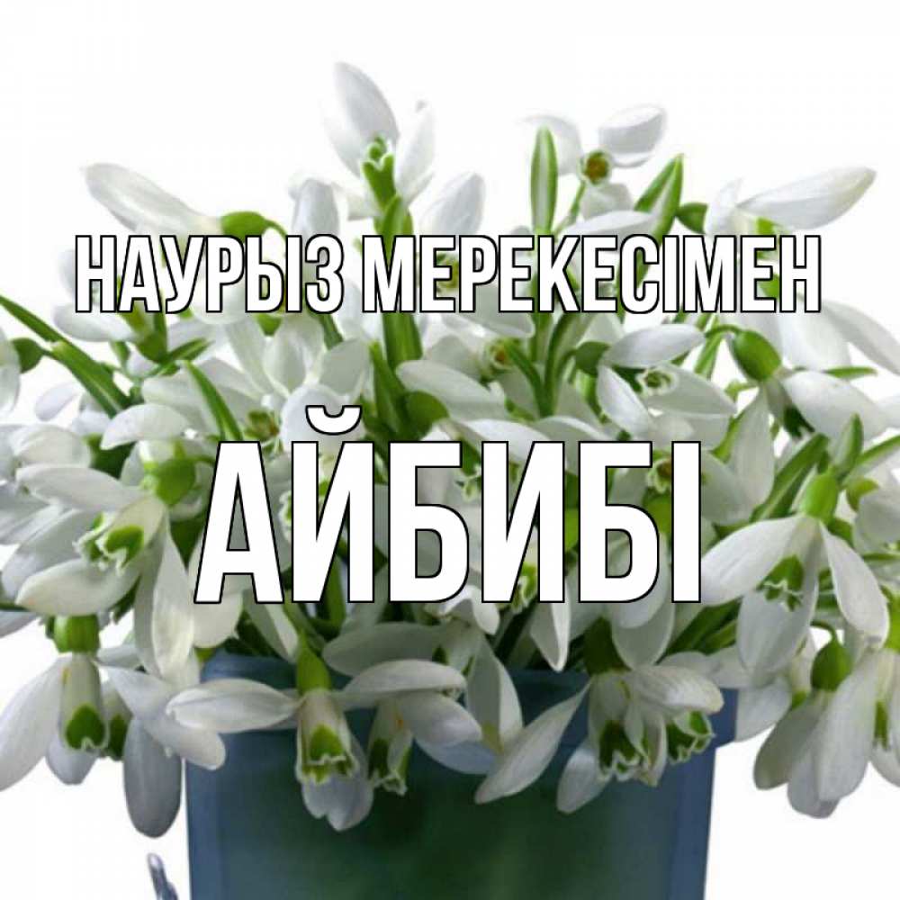 Күн сайын ашық хат с именем, АЙБИБІ Наурыз мерекесімен цветы к наурызу новый год в Казахстане Онлайн тегін жүктеп алу тілектері бар керемет карта 
