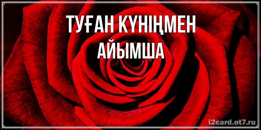 Күн сайын ашық хат с именем, АЙЫМША Туған күніңмен алая роза Онлайн тегін жүктеп алу тілектері бар керемет карта 
