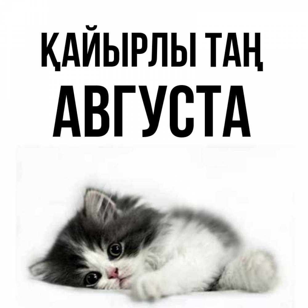 Күн сайын ашық хат с именем, Августа Қайырлы таң кот лапки Онлайн тегін жүктеп алу тілектері бар керемет карта 