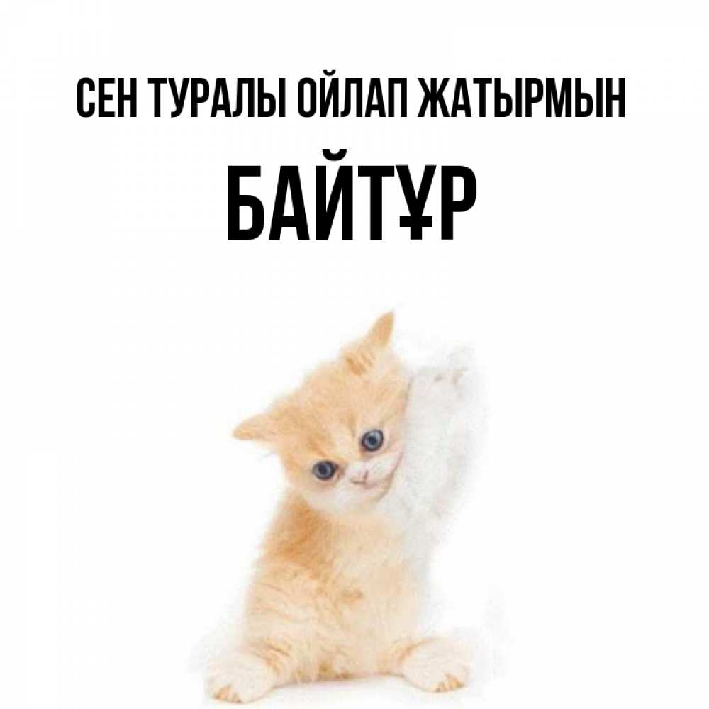 Күн сайын ашық хат с именем, Байтұр Сен туралы ойлап жатырмын зверушки и милота Онлайн тегін жүктеп алу тілектері бар керемет карта 