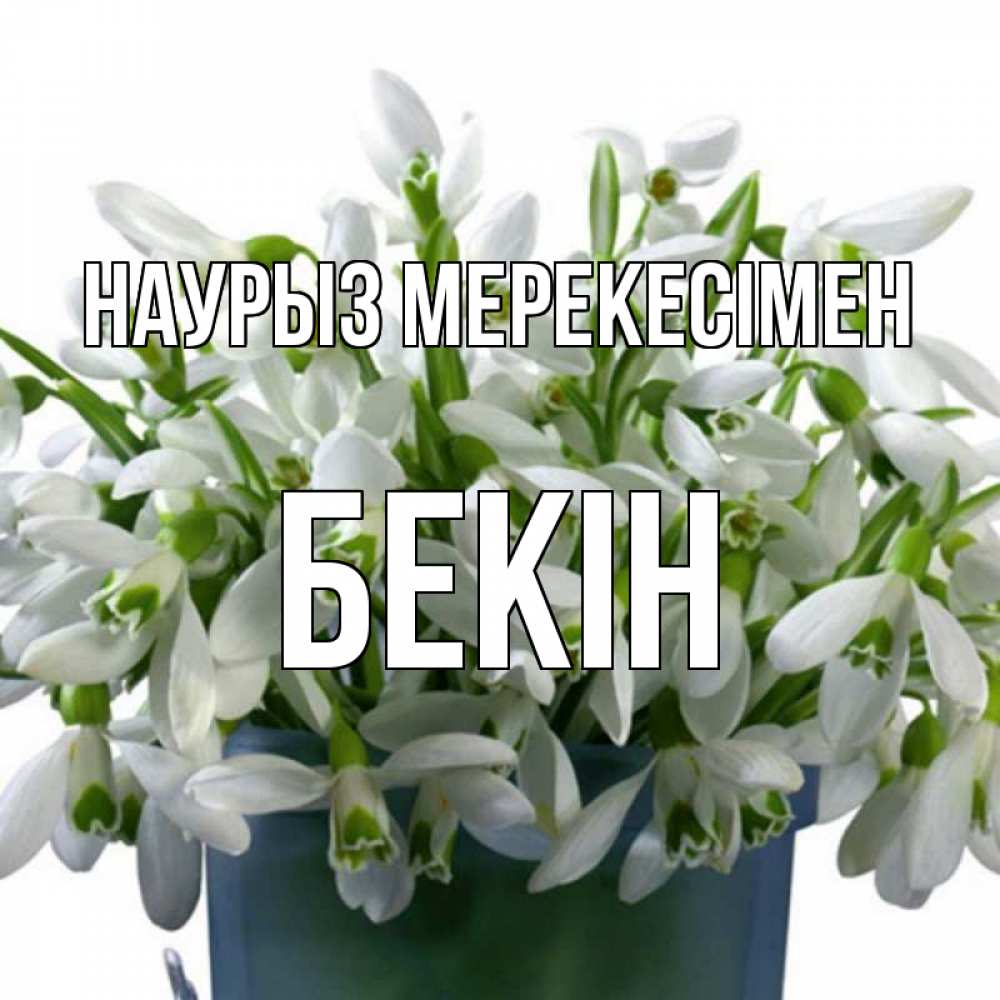 Күн сайын ашық хат с именем, Бекін Наурыз мерекесімен цветы к наурызу новый год в Казахстане Онлайн тегін жүктеп алу тілектері бар керемет карта 