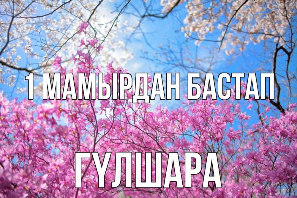 Күн сайын ашық хат с именем, ГҮЛШАРА 1 мамырдан бастап С 1 мая Онлайн тегін жүктеп алу тілектері бар керемет карта 