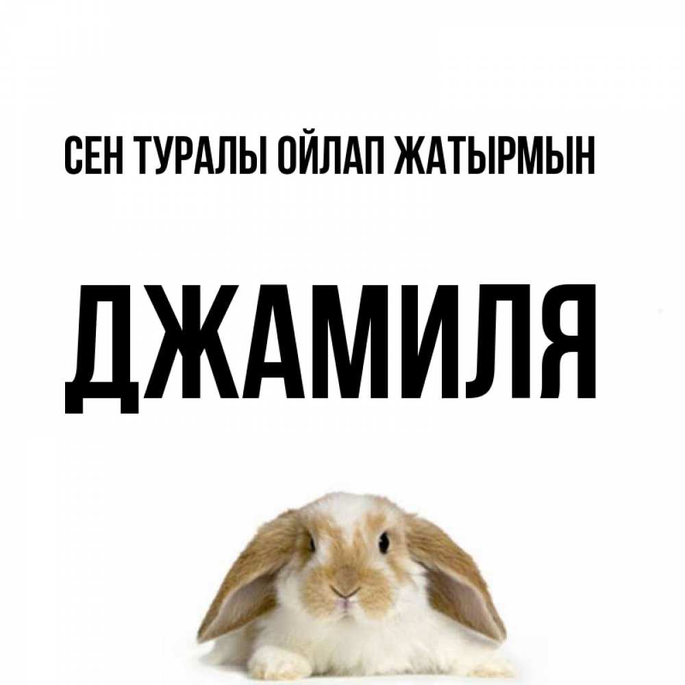 Күн сайын ашық хат с именем, Джамиля Сен туралы ойлап жатырмын подписать своими руками онлайн Онлайн тегін жүктеп алу тілектері бар керемет карта 