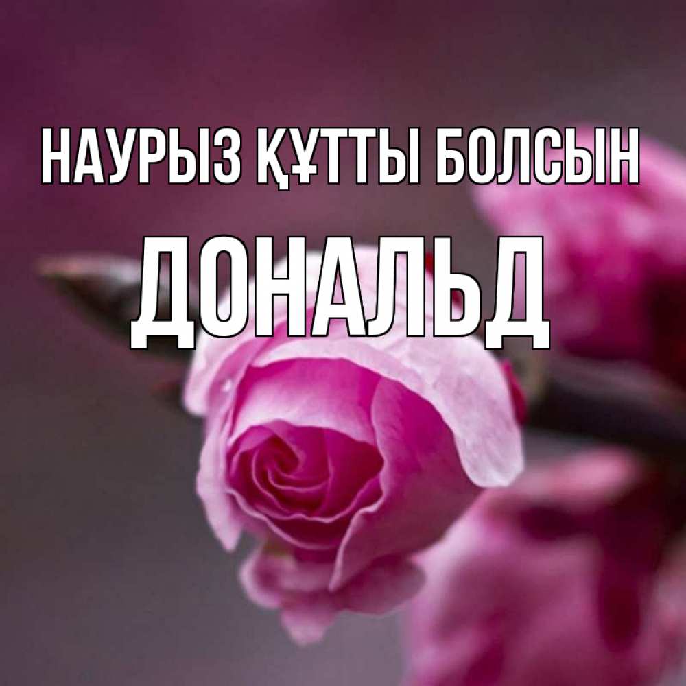 Күн сайын ашық хат с именем, Дональд Наурыз құтты болсын весна Онлайн тегін жүктеп алу тілектері бар керемет карта 