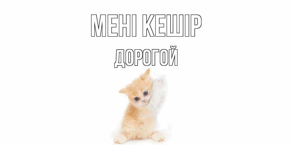 Күн сайын ашық хат с именем, Дорогой Мені кешір кот Онлайн тегін жүктеп алу тілектері бар керемет карта 