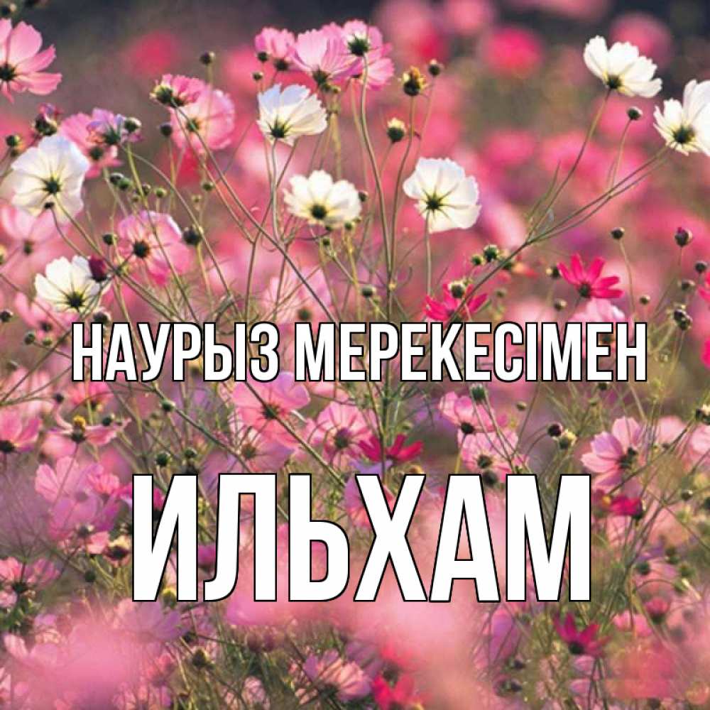 Күн сайын ашық хат с именем, Ильхам Наурыз мерекесімен красиво 1 Онлайн тегін жүктеп алу тілектері бар керемет карта 