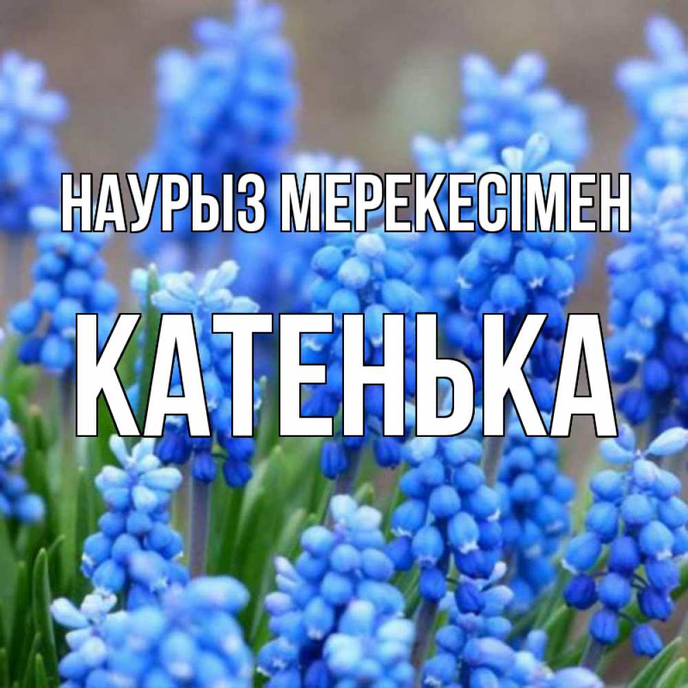 Күн сайын ашық хат с именем, Катенька Наурыз мерекесімен Поздравительная открытка для женщин с цветами на праздничную дату Онлайн тегін жүктеп алу тілектері бар керемет карта 